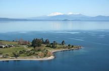 4-Day Wellington to Auckland via Rotorua Tour