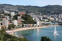 4-Day Wellington to Auckland via Rotorua Tour