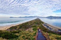 Bruny Island Food, Sightseeing, Guided Lighthouse Tour & Lunch 