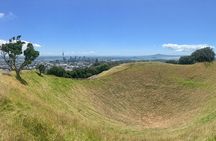 Half-Day Volcano Tour from Auckland
