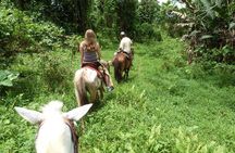 Horseback Ride to La Fortuna Waterfall