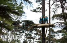 Adventurous Zipline Tour in Coromandel 