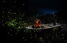 Kuala Selangor Fireflies & Nature Escape – From Kuala Lumpur