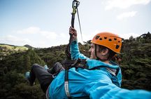 Adventurous Zipline Tour in Coromandel 