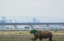 Nairobi National Park Guided Half Day Tour Game Drive- FREE WIFI