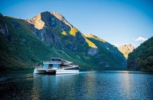 Private guided tour to Oslo - Nærøyfjord Cruise & Flåm Railway