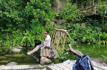Private Ko Samui Island Tour with Air-Conditioned VIP Minivan