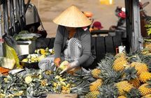 Private Mekong Delta 2 days 1 night (HCMC- Cai Be- Can Tho- HCMC)