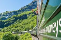Guided tour - Viking Village, Nærøyfjord Cruise and Flåm Railway 