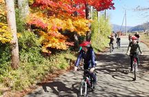 Short Morning Cycling Tour in Hida