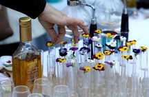 Sampling Olive Oil tasting in Cordoba