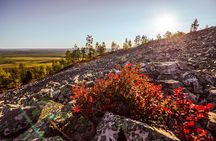 Guided easy hike in Finland deepest gorge in Pyhä-Luosto National Park