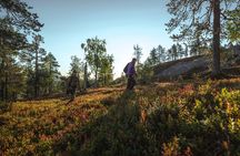 Guided easy hike in Finland deepest gorge in Pyhä-Luosto National Park