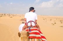 Desert Safari With Barbeque (BBQ) Dinner