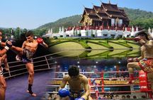 Chiang Mai Muay Thai Boxing Live at Thapae Stadium
