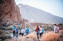 Walking tour under the stars on Teide guided by astronomers