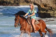 Aruba North Coastline: Small-Group Horseback Riding Tour