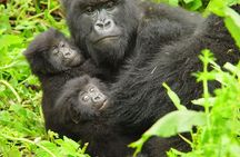 2 Days Gorilla Trekking with Culture Experience and Twin Lakes Visit