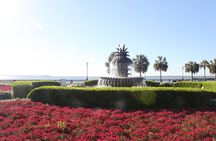 90-Minute Charleston City Sightseeing Bus Tour 