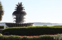 90-Minute Charleston City Sightseeing Bus Tour 