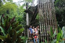 Surrealist Garden Tour in Xilitla and Sotano de las Huahuas