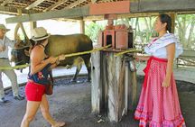 Palo verde river cruise, sugarcane liquor and cultural combo tour.