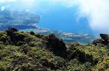 North Tour: rainforest, rum distillery, black sand beach etc