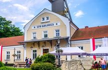 Wieliczka Salt Mine guided tour from Krakow near or hotel pickup
