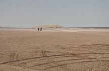Excursions And Discovery