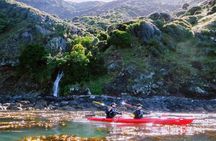 Guided Electric Mountain Bike & Sea Kayak Tour in Akaroa