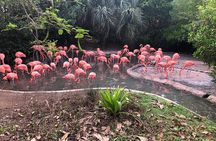 Bermuda Aquarium and Crystal Caves Admission