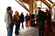 PATAGONIA INDIGENOUS PEOPLES: Tehuelche, Mapuche, canoe tribes