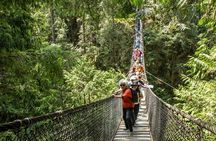 Mesmerizing Nature Walk in Lynn Canyon Park 