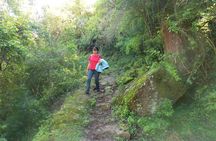 From Quebrada de Humahuaca to Yungas Jungle by the Qhapac Ñan