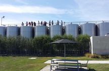 Gourmet Gold Wine Tour: Indulge in Cloudy Bay's finest wines