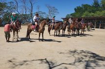 Roatan Excursion: Horseback Ride / Plus Sloth Park and Beach Break