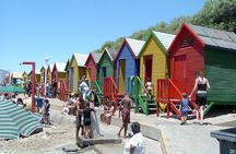 Cape Of Good Hope and Penguins viewing Private Tour