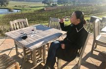Tailor made Stellenbosch & Franschhoek Winelands Full day Tour.
