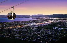4-Day Wellington to Auckland via Rotorua Tour