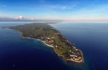 Roatan Excursion: Sloths and monkey hang out /Chocolate & Rum C.