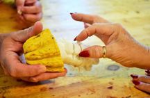 Coffee and Chocolate Tours