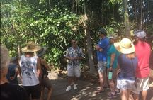 Coffee and Chocolate Tours