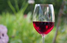 Amador County Wine Tasting Tours max 14 pax Private Wine Tours