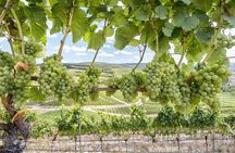 Amador County Wine Tasting Tours max 14 pax Private Wine Tours