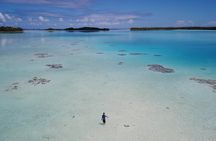 Blue lagoon private tour
