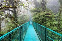 Luxury day-trip off the beaten path to Monteverde Rain Forest