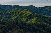 From San José: Monteverde Cloud Forest & Local Farm Experience