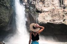 Mongkey Forest , Water Temple , Waterfall and Rice Terraces