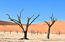 Namibian Explorer Safari - 11 Days