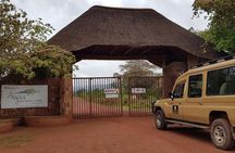 One-day Akagera National Park Game Drive with a Choice 4x4